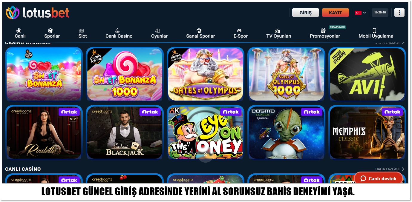 Lotusbet güncel giriş